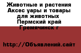 Животные и растения Аксесcуары и товары для животных. Пермский край,Гремячинск г.